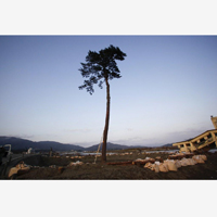 『石川梵写真展　THE DAYS AFTER　東日本大震災の記憶』